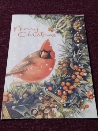 Nature's SKETCHBOOK Merry Christmas - Red Cardinal