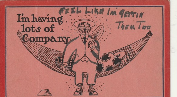 Vintage Used Postcard: (c): 1907 I'm Having Lots of Company