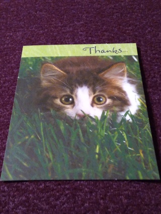 Kitten Notecard - Thanks...