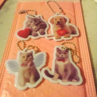 #3- Puffy Pet Key Chains