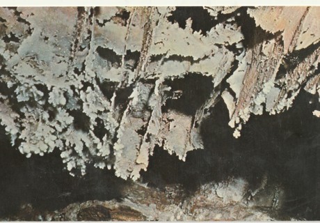 Vintage Unused Postcard: L: Wind Cave National Park, Hot Springs, SD