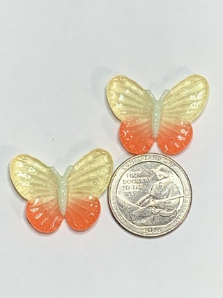 BUTTERFLIES~#13~SET OF 2 BUTTERFLIES~GLOW IN THE DARK~FREE SHIPPING!