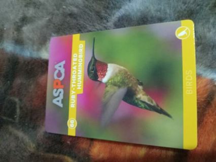 2016 ASPCA PETS AND CREATURES TRADING CARD #66 RUBY THROATED HUMMINGBIRD