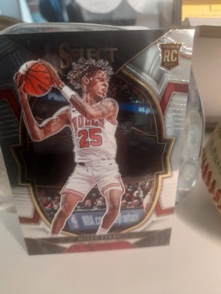 CHROME ROOKIE Dalen Terry Select / Chicago Bulls