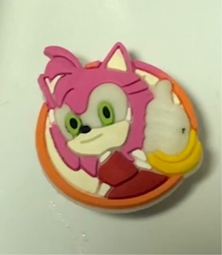 Amy Rose croc Charm