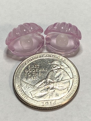 CLAMSHELLS~#24~PURPLE~SET OF 2~GLOW IN THE DARK~FREE SHIPPING!