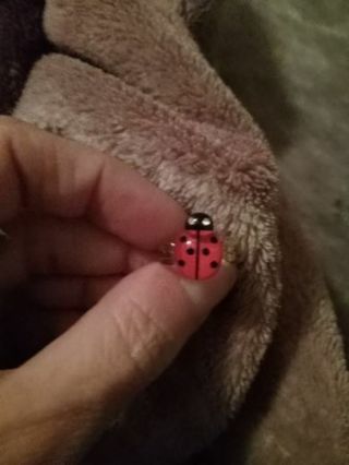 2pc daughter and mother or grandmother Lady bug adjustable ring