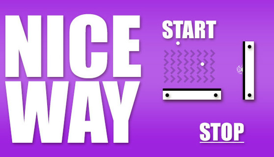 Nice Way (Steam Key)