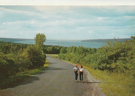 Vintage Unused Postcard: GIN: Cayuga Lake, Taughannock Falls State Park, NY