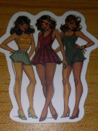 Girl new 1⃣ vinyl lap top sticker no refunds regular mail very nice quality