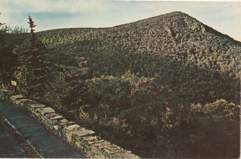 Vintage Unused Postcard: n: Hawk's Bill Mountain, Shenandoah Park, VA