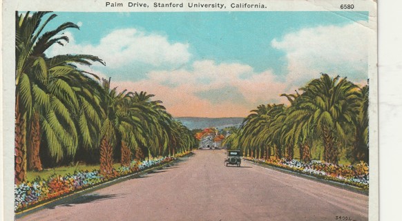 Vintage Used Postcard: B: 1933 Palm Drive, Stanford University, CA