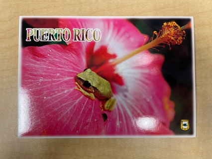 Puerto Rico Frog Postcard