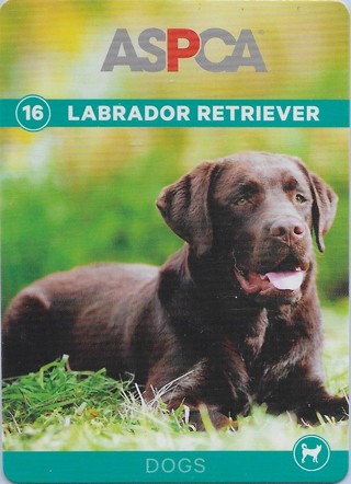 2014 ASPCA Pets and Creatures Series 1 #16 Labrador Retriever