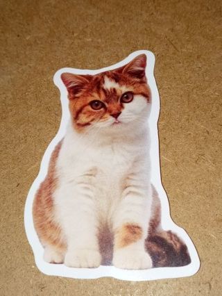 Cat Cute new nice vinyl lab top sticker no refunds regular mail high quality!