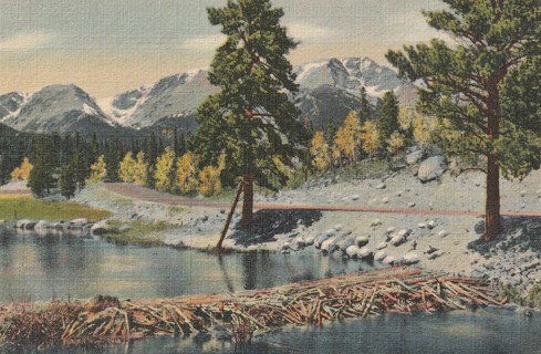 Vintage Unused Postcard: c: Mummy Range, Beaver Dams, Rocky Mountains, CO