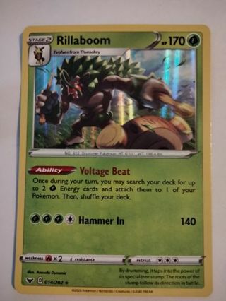 Rillaboom 014/202 rare holo nm pokemon