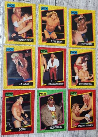 9 WCW 1991 Cards!