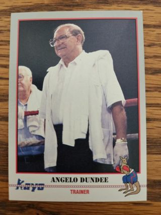 1991 Kayo boxing trading card.