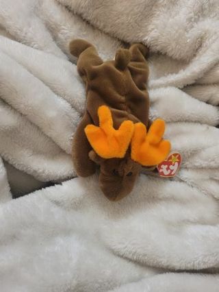 CHOCOLATE THE MOOSE BEANIE BABY