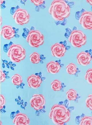 ➡️⭕(1) BLUE WITH PINK ROSES 10x13" POLY MAILER ⭕