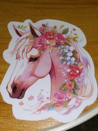 Pretty one vinyl lap top sticker no refunds regular mail very nice quality