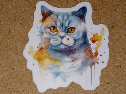 Cat Cute new 1⃣ small vinyl sticker no refunds regular mail only Very nice