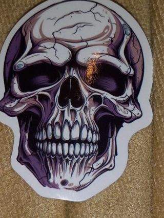 Cool nice 1⃣ vinyl sticker no refunds regular mail only Very nice quality!