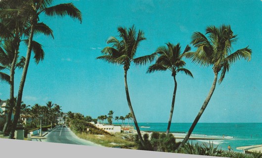 Vintage Used Postcard: d: Florida