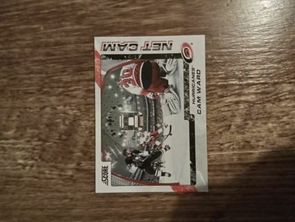 Panini Cam Ward