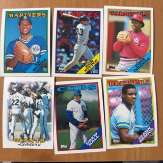 Baseball Cards (M)