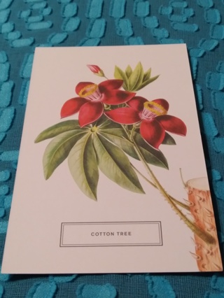 Botanical Postcard - COTTON TREE