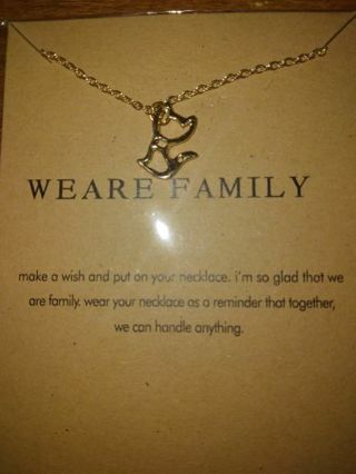 We Are Family Make a Wish Necklace (Gold Plated)