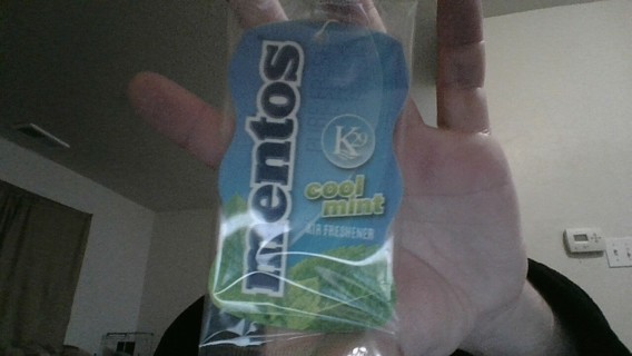 car freshener - mentos cool mint