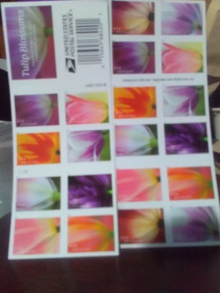40 Brand New Tulip Blossoms Forever Stamps