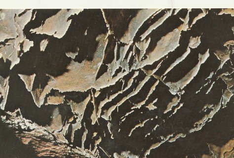 Vintage Unused Postcard: y: Wind Cave, Black Hills, SD