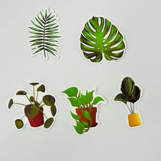 Lot of 5 Plant Stickers Monstera Leaf