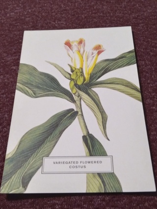 Postcard - VARIEGATED FLOWERED COSTUS