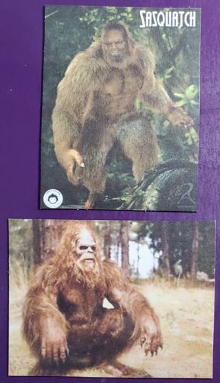 Sasquatch Magnets