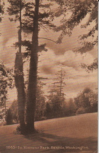 Vintage Unused Postcard: (B&W): Kinnear Park, Seattle, WA