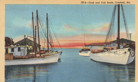 Vintage Used Postcard: gin: 1954 Crab & Fish Boats, Crisfield, MD