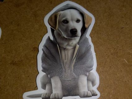 Dog Cute one new vinyl sticker no refunds regular mail only Very nice