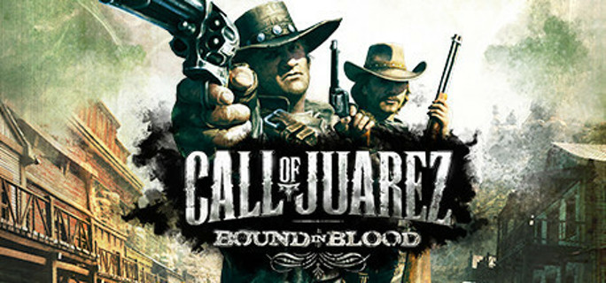 Call of Juarez: Bound in Blood Steam Key