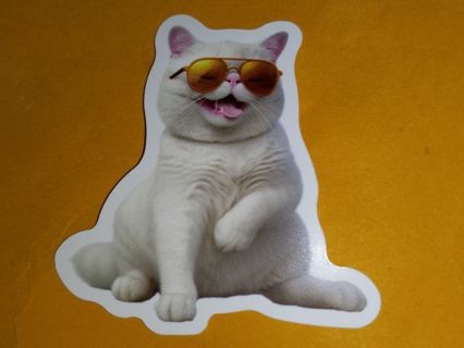 Cat Cute one new nice vinyl lab top sticker no refunds regular mail high quality!