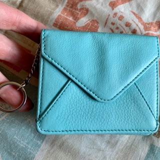 Amy Kestenberg Sky Blue Soft Leather Wallet with keychain 