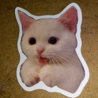 Cat Cute one new nice vinyl lab top sticker no refunds regular mail high quality!