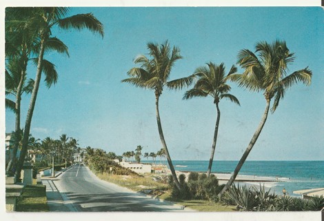 Vintage Unused Postcard: g: Ocean Blvd, Palm Beach, FL