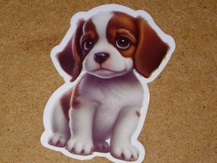 Adorable 1⃣ big nice vinyl sticker no refunds regular mail only Very nice these are all nice