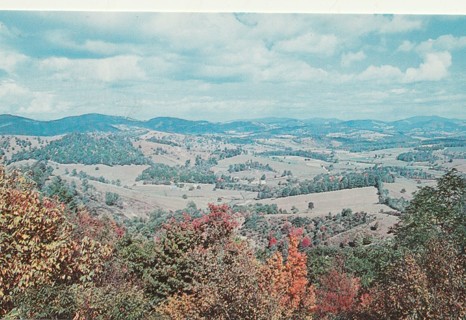 Vintage Unused Postcard: m: Valley Farms, NC
