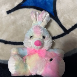 Rainbow bunny